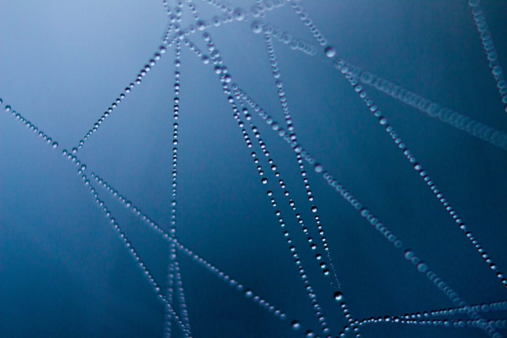 Web Protection Managed Service