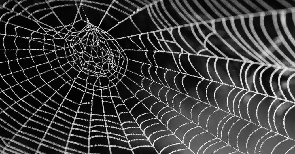 web security for education and local authority